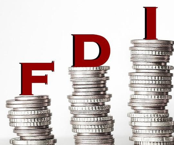 FDI disbursement hits record high in the past 05 years