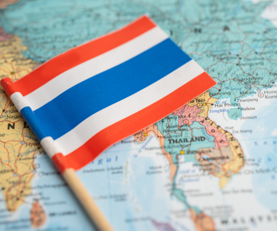 Thailand's Investment Giants in Vietnam: The Top 5 Players You Can't Miss!