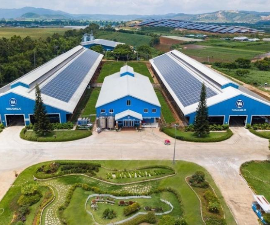 Vinamilk to build 14th dairy plant in Hung Yen